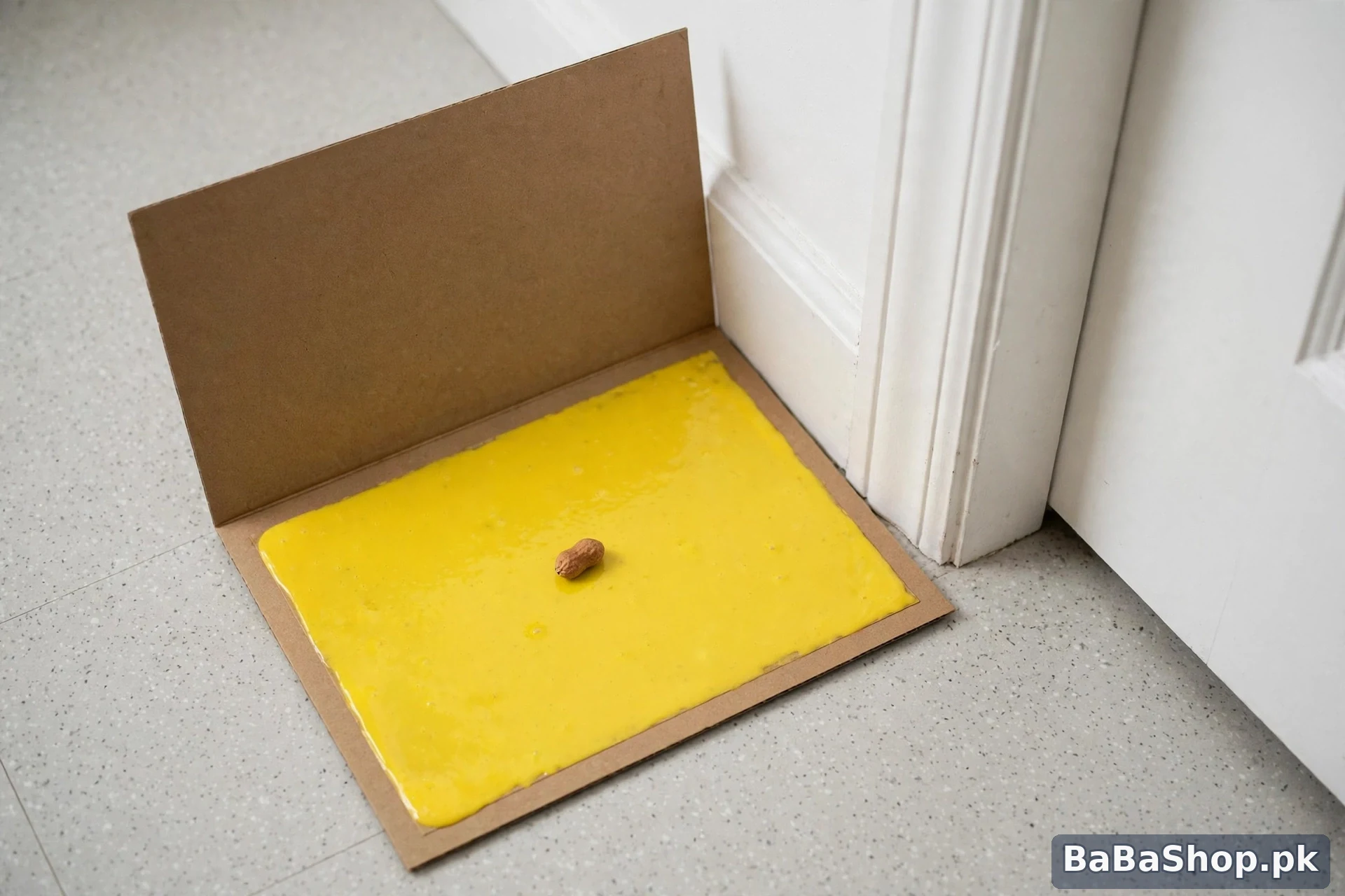 How to use glue trap for rats — glue pad placed by a door corner with a small peanut bait in the centre