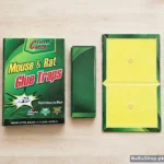 Magic Pad Mouse & Rat Glue Trap — Rat Glue Pad (Pack of 3, 4 or 5)